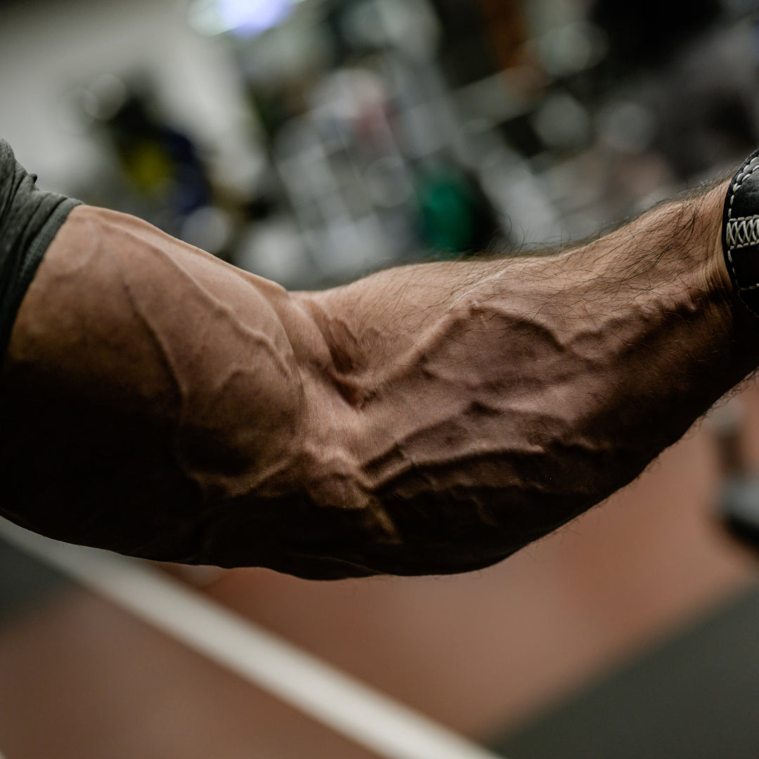 The Ultimate Guide to Increasing Forearm Size and Strength